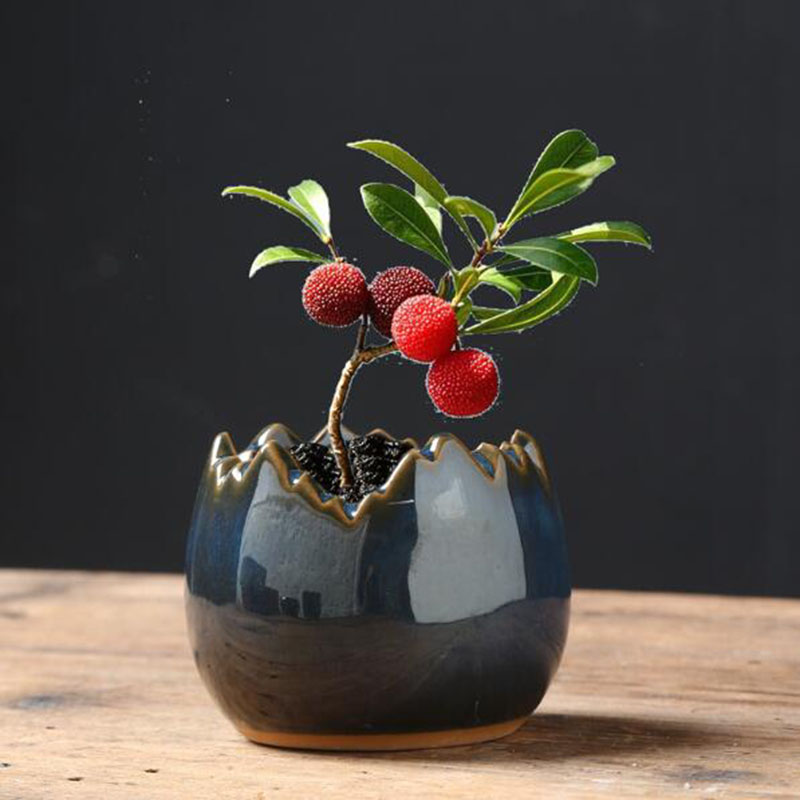 Bonsai Garden Art - Pot Bunga Kulit Telur Berlapis Kiln